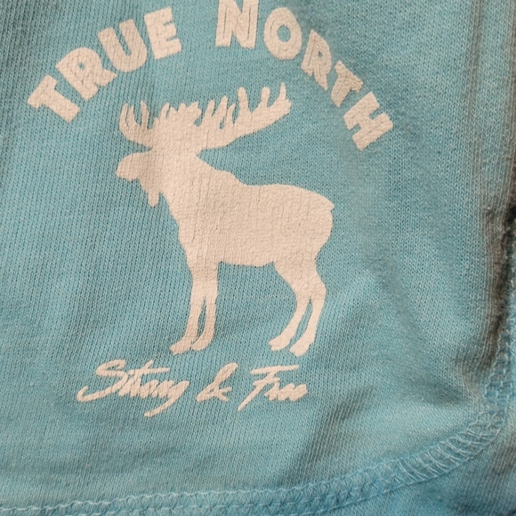 Pop Surf True North Strong And Free Short Shorts NWOT - Picture 4 of 6